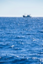 358_mg_2110