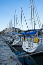 373_mg_2162