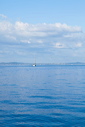 376_mg_2188
