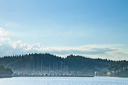 378_mg_2190