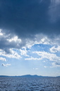 383_mg_2198