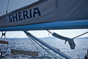 402_mg_2231