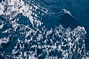 409_mg_2244