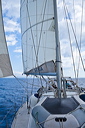 437_mg_2297