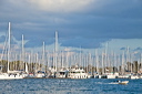 469_mg_2371