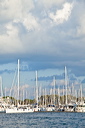 470_mg_2372
