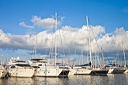 471_mg_2376