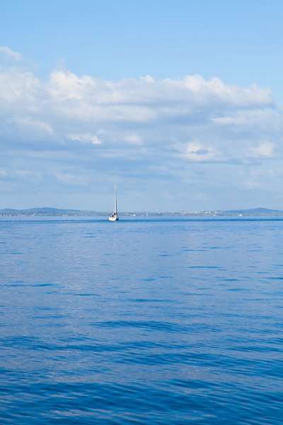 376_mg_2188.jpg