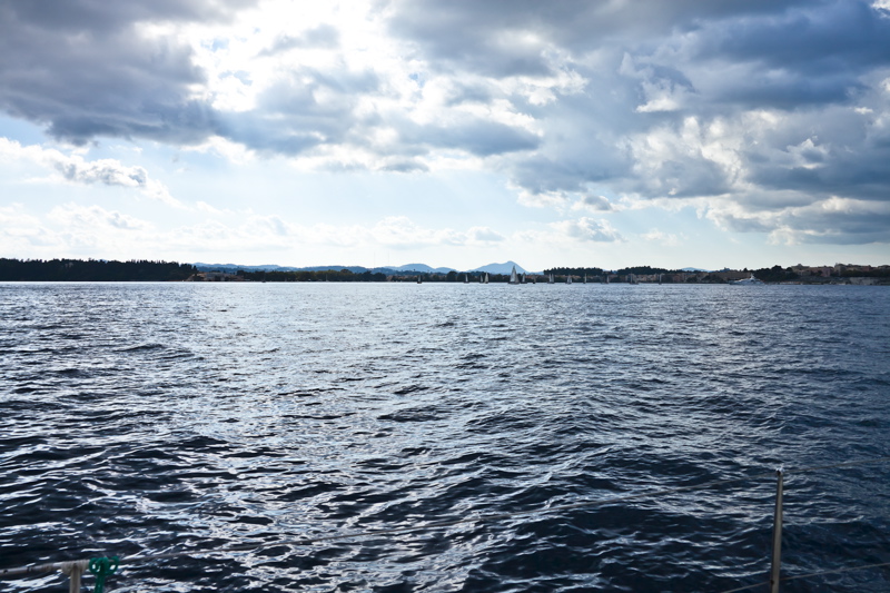 450_mg_2314.jpg