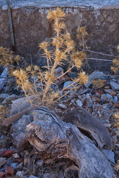 _mg_9560.jpg