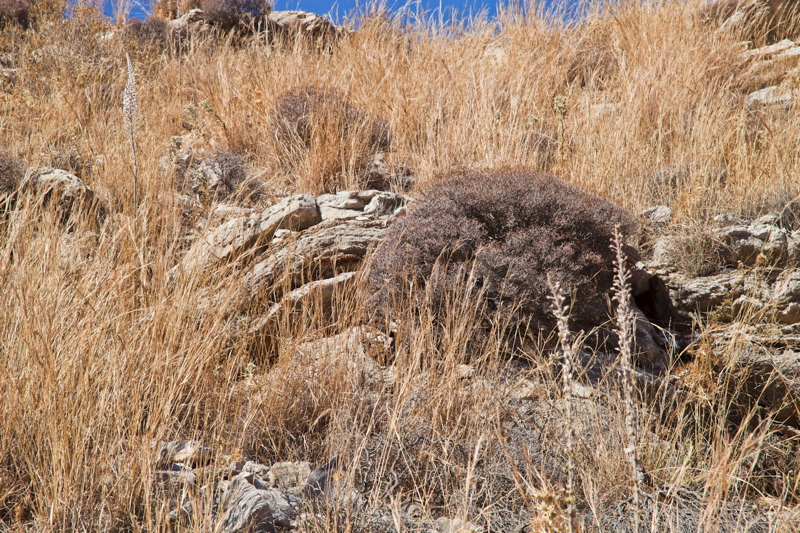 _mg_9562.jpg
