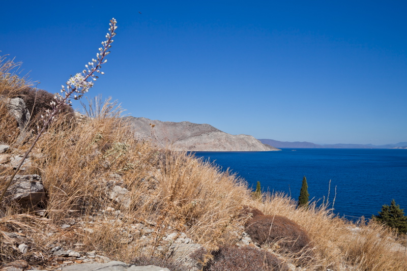 _mg_9563.jpg