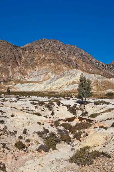 _mg_9594.jpg