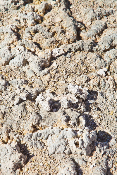 _mg_9626.jpg