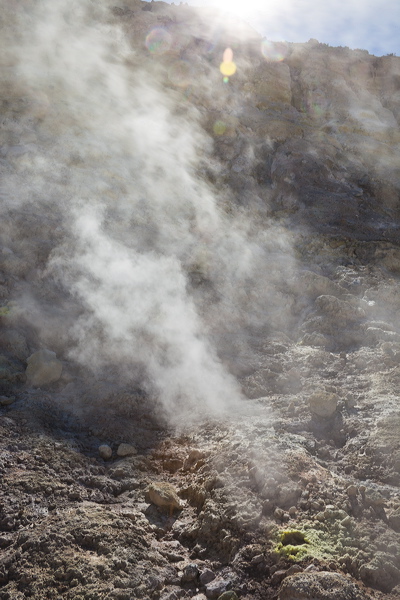 _mg_9665.jpg