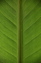 005520