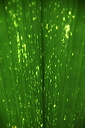 005536