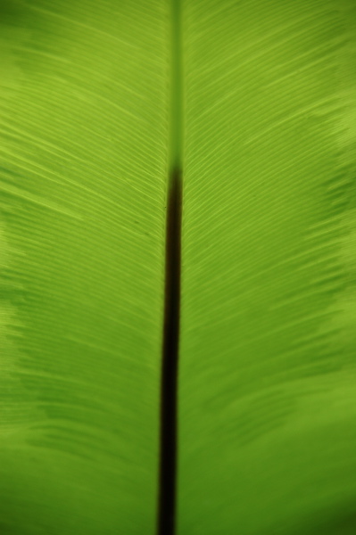 005510.jpg