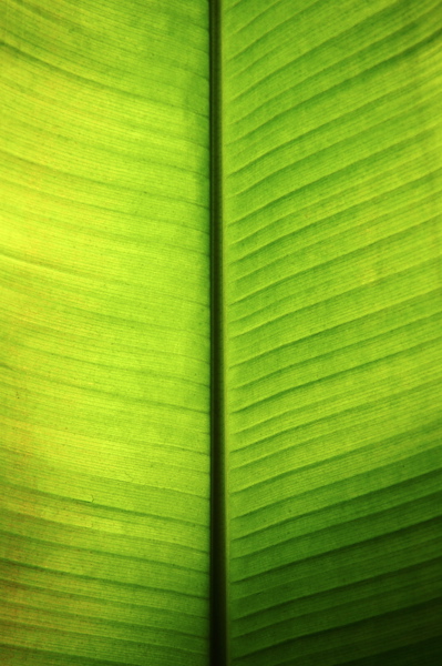 005513.jpg
