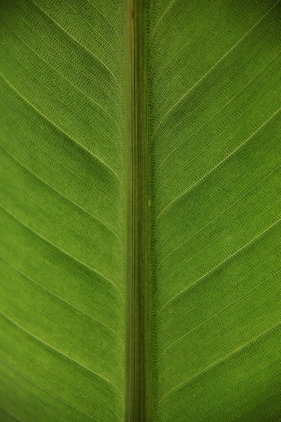 005520.jpg