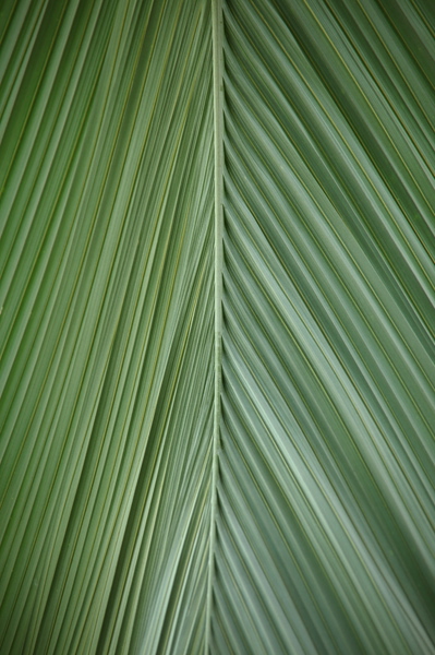 005525.jpg