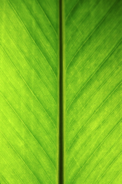 005526.jpg