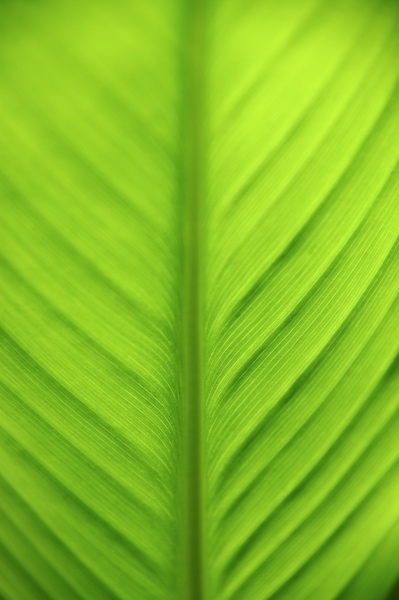 005529.jpg