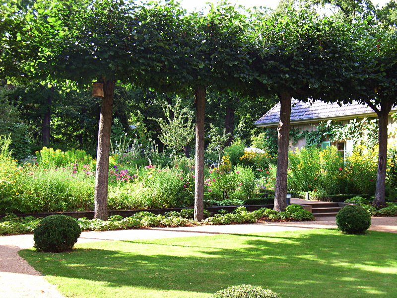r0011490.jpg