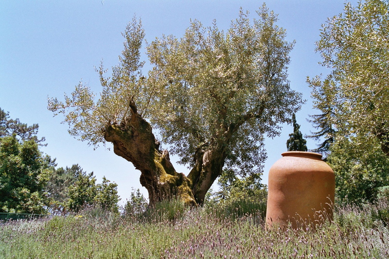 001411.jpg