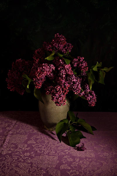 010842.jpg
