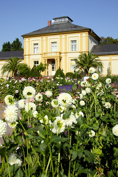 009577.jpg