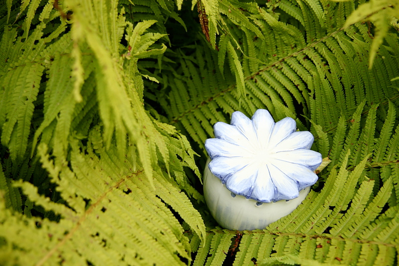 009373.jpg