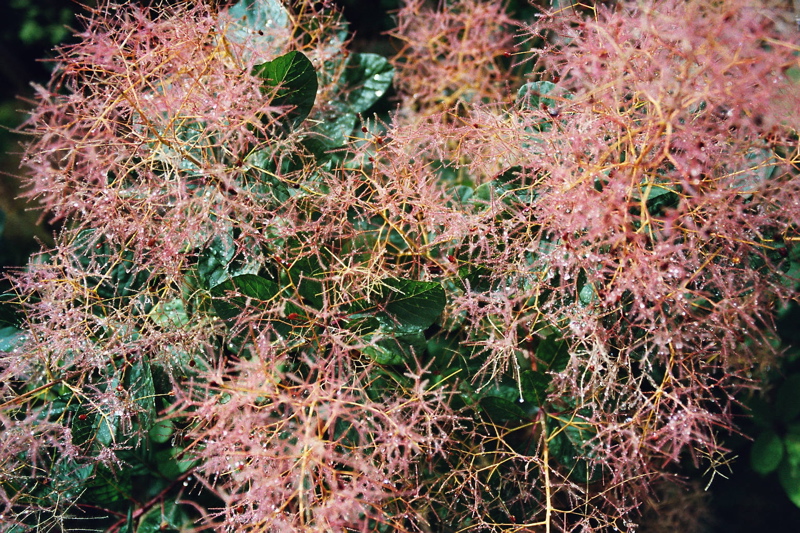 005011.jpg