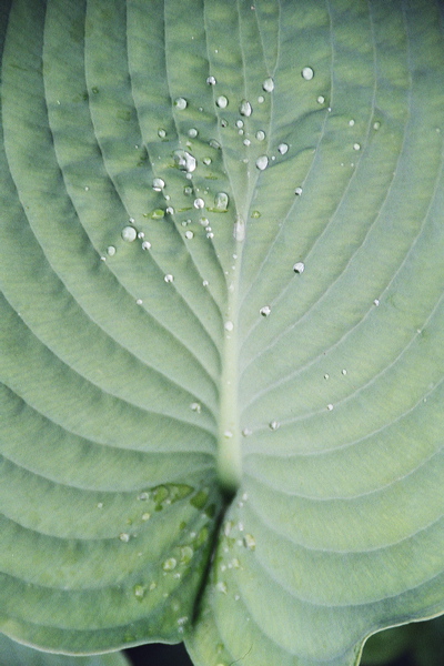 005026.jpg