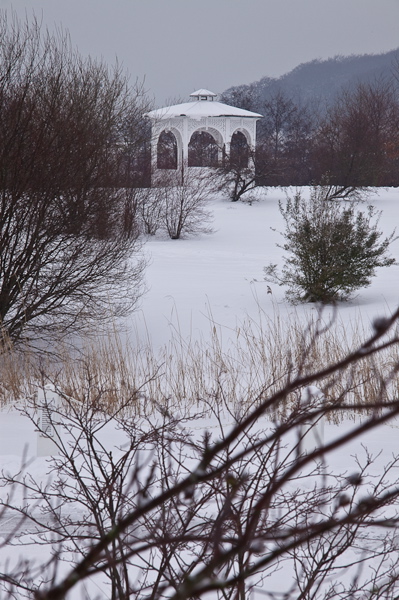 _mg_3771.jpg