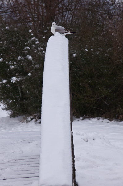 _mg_3779.jpg