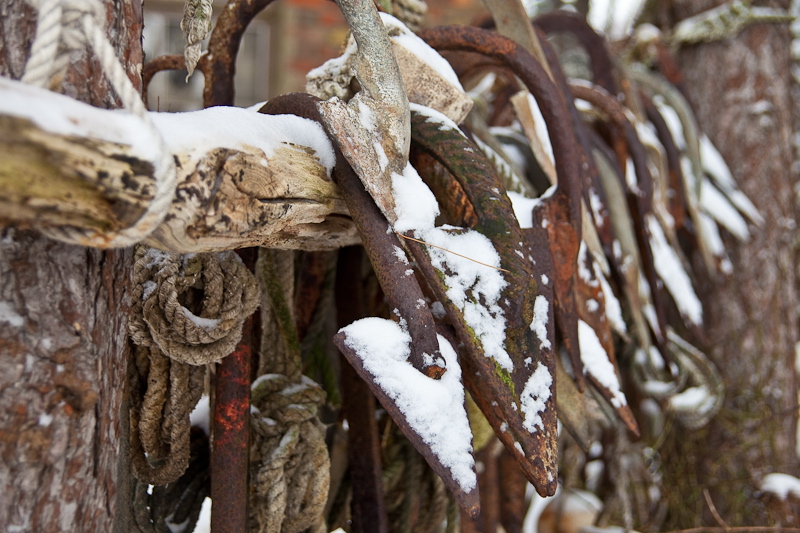 _mg_3786.jpg