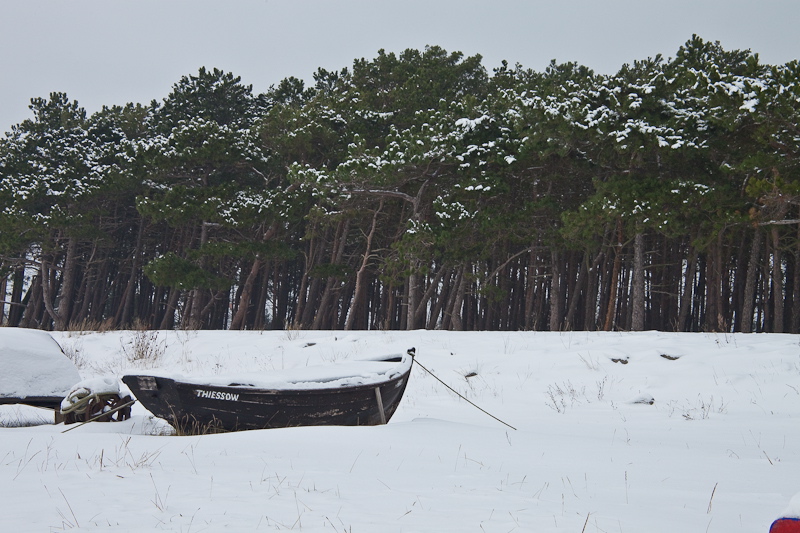 _mg_3799.jpg