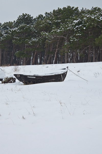 _mg_3800.jpg