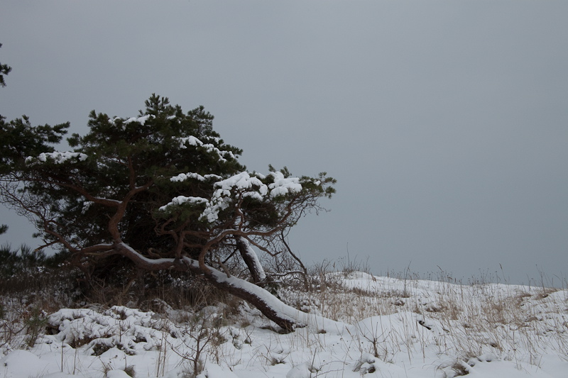 _mg_3826.jpg