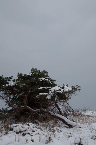 _mg_3827.jpg