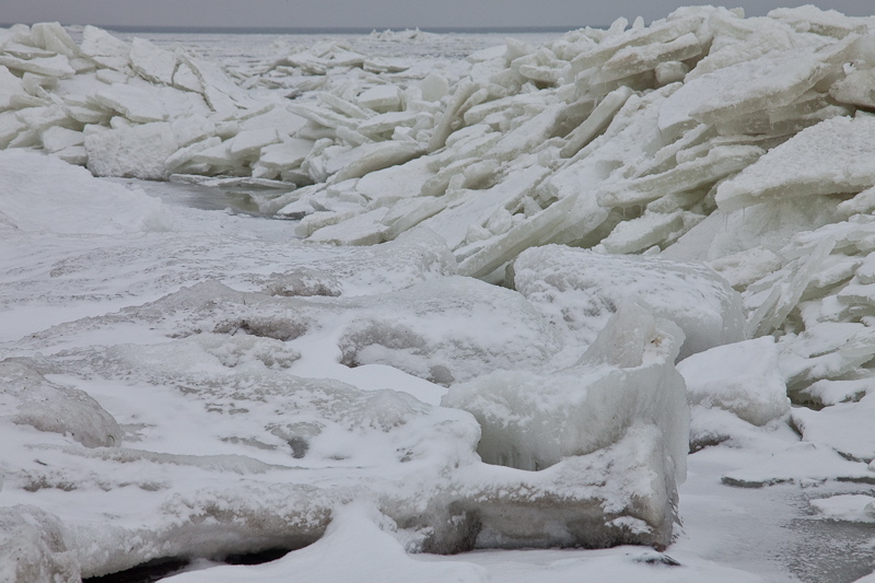 _mg_3844.jpg
