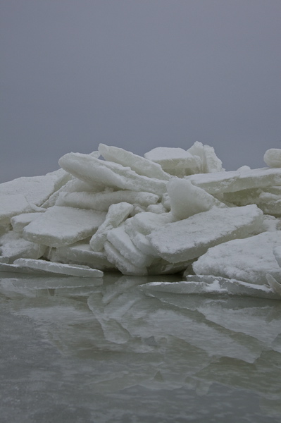 _mg_3854.jpg