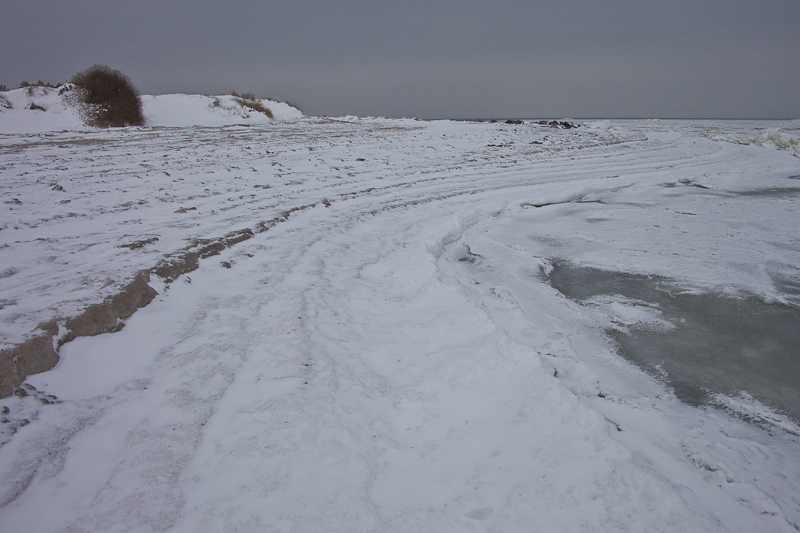 _mg_3855.jpg