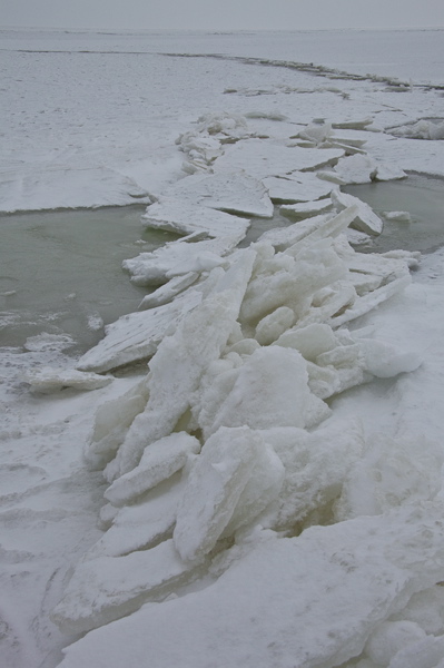 _mg_3860.jpg