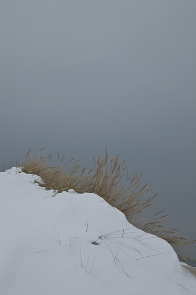 _mg_3868.jpg