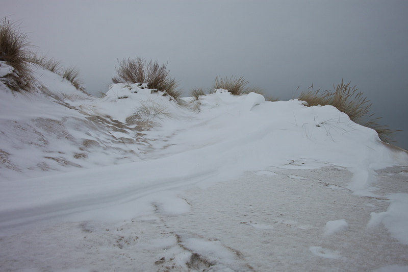 _mg_3869.jpg
