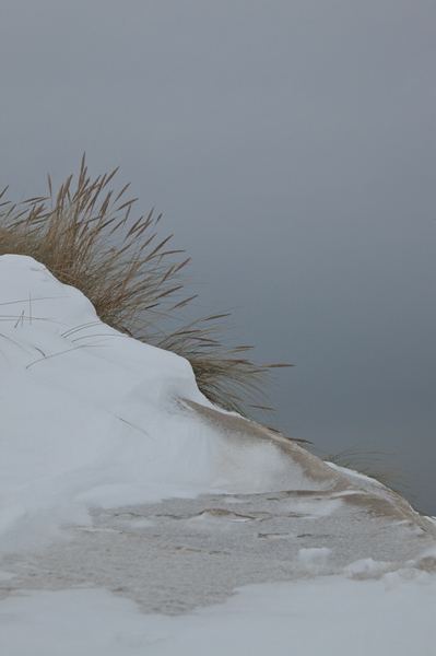 _mg_3872.jpg