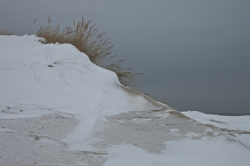 _mg_3873.jpg