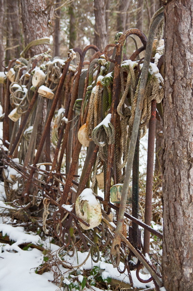 _mg_3876.jpg